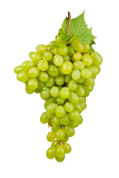 Куча зеленого винограда укладывается изолированно — стоковое фото