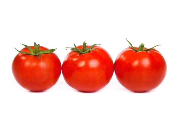 Tomatos — Stock Photo, Image