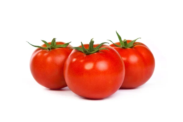 Tomatos — Stock Photo, Image