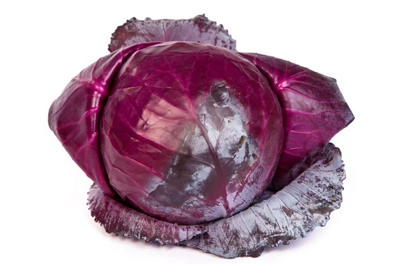 Red cabbage on white background. — Stock Photo, Image