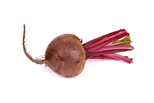 Barbabietola rossa fresca isolata su bianco — Foto Stock