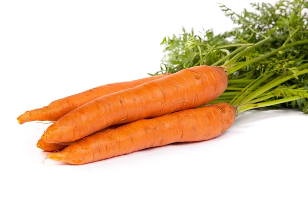 O grămadă de morcov proaspăt izolat pe alb — Fotografie, imagine de stoc