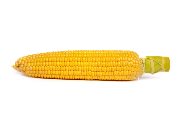 Fresh uncooked corn on the cob — Stock Photo, Image