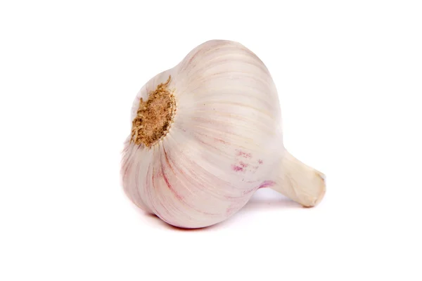 Una testa d'aglio isolata su bianco — Foto Stock