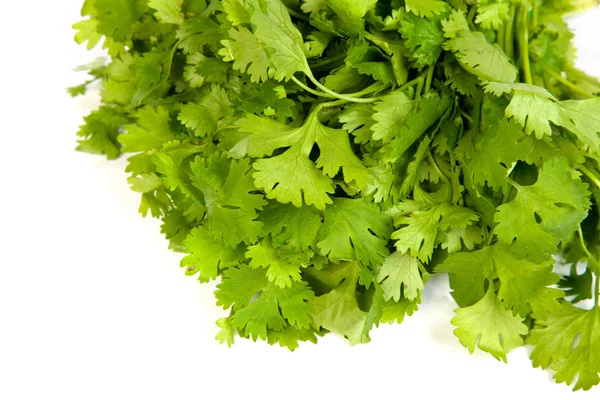 Parsley tied in a bunch with twine isolated — Stock Photo, Image
