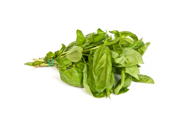 Fresh green basil leaves on white background — Stock Photo, Image