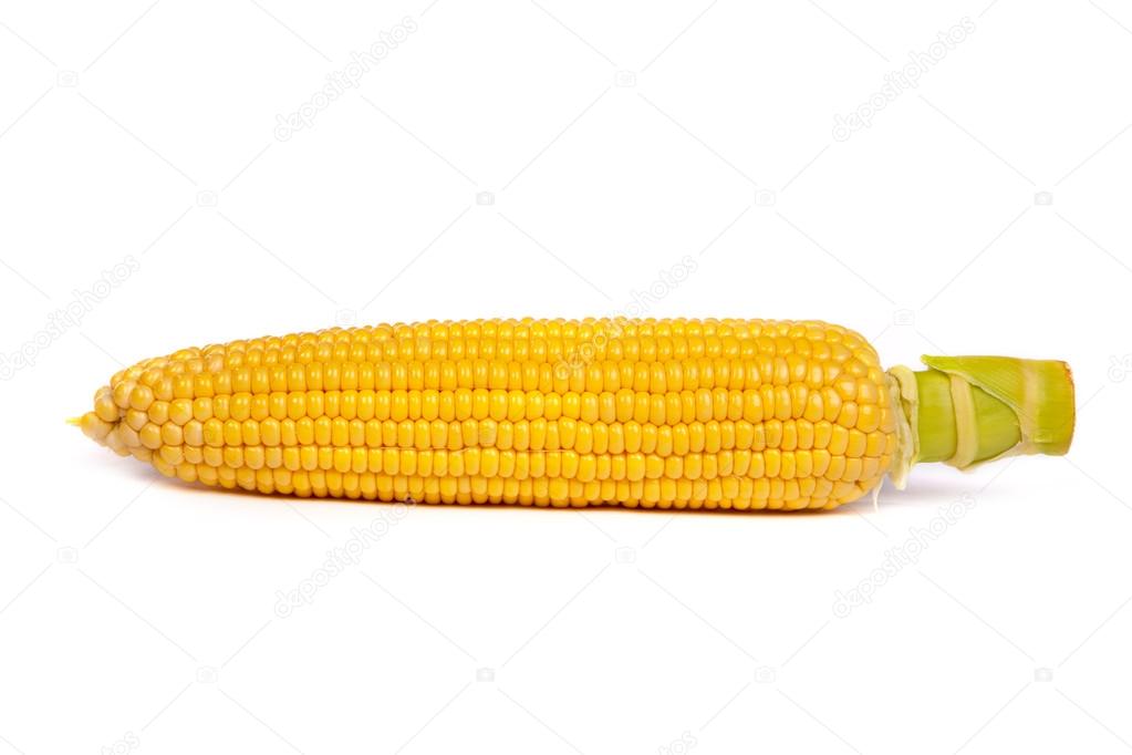 Fresh uncooked corn on the cob — Stock Photo © bloodua 13533676
