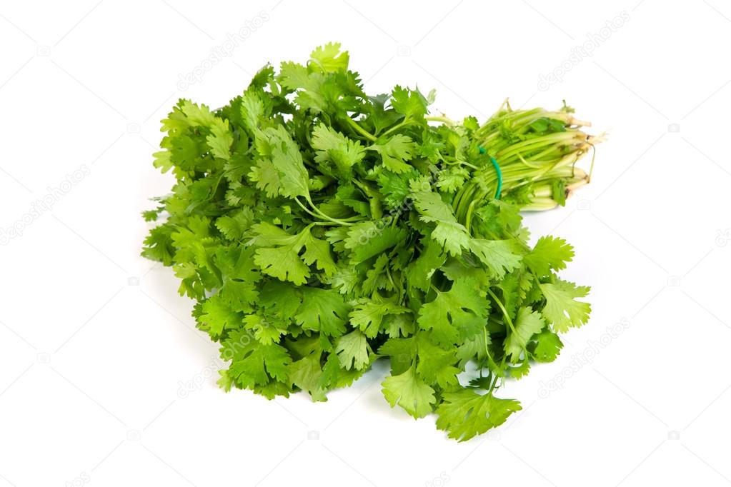 Parsley tied in a bunch with twine isolated