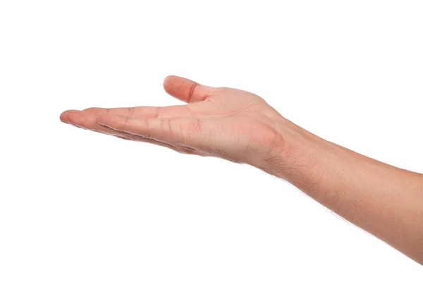 Open palm hand gesture of male hand — Stock Photo, Image