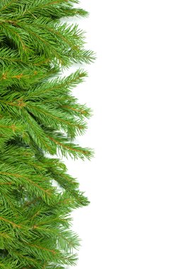 Noel arkaplanı. Eve çerçevesi