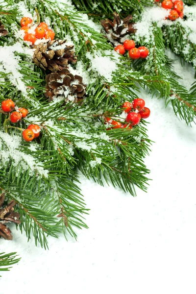 Julbakgrund. Eva-ramen — Stockfoto