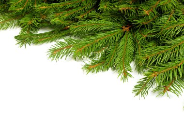 Noel arkaplanı. Eve çerçevesi