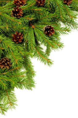 Noel arkaplanı. Eve çerçevesi