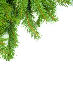 Noel arkaplanı. Eve çerçevesi