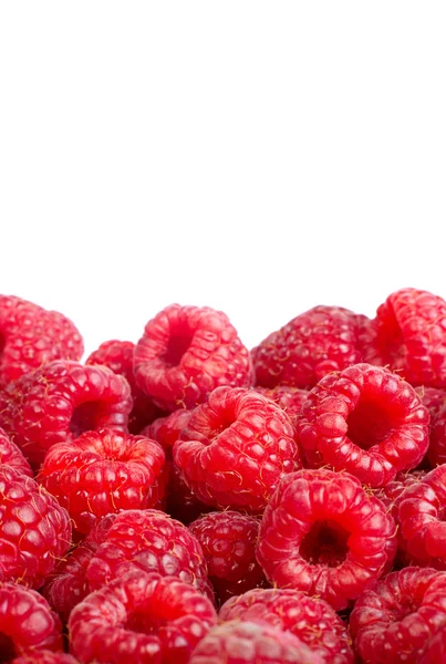 Ripe raspberries fruit background. isolated on white — Stock Photo, Image