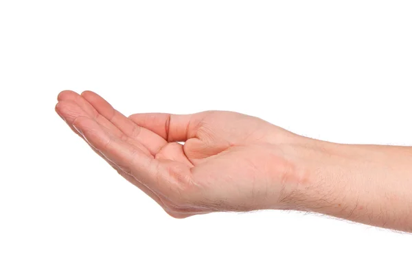 Open palm hand gesture of male hand — Stock Photo, Image