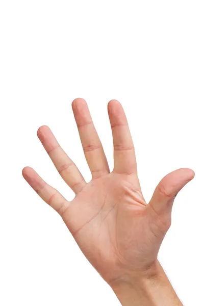 Geste main numéro cinq gros plan isolé sur blanc — Photo