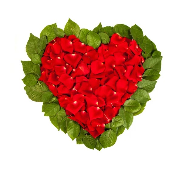 Heart shape made out of rose — Stock Photo, Image