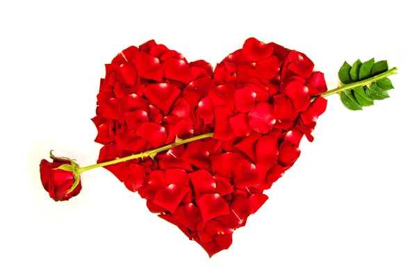Tvaru srdce vyrobený z růže — Stock fotografie