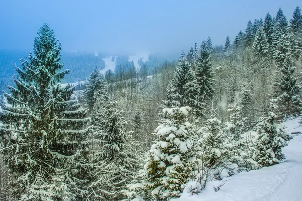冬の山小屋 — ストック写真
