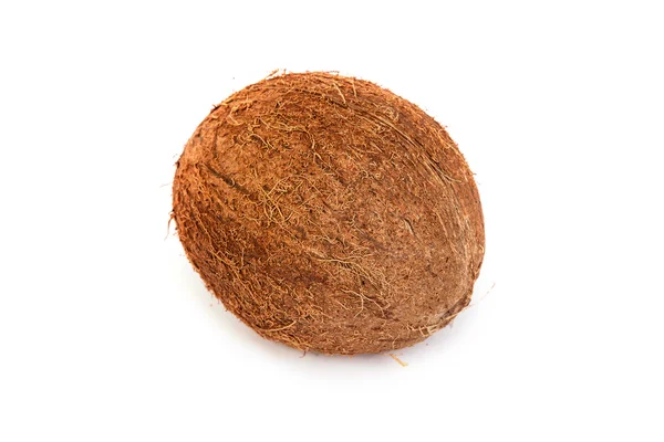 Coconut on a white background — Stock Photo, Image