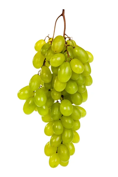 Yeşil üzüm döşeme demet izole — Stok fotoğraf