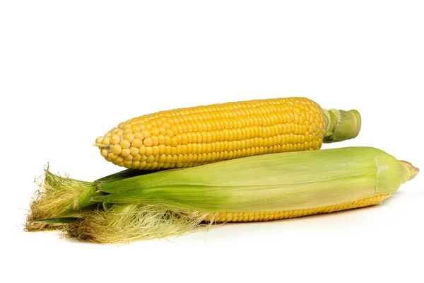 Fresh uncooked corn on the cob — Stock Photo, Image