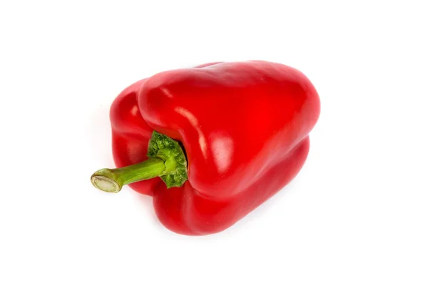 Un peperone rosso dolce isolato su bianco — Foto Stock
