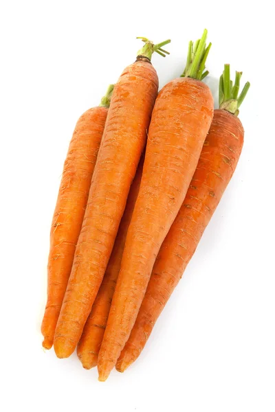 Bouquet de carotte fraîche isolé sur blanc — Photo