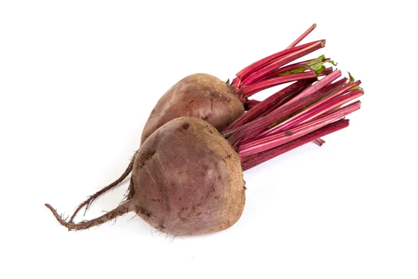 Fresh red beet isolated on white — Stock Photo, Image