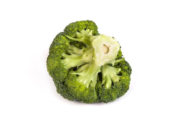 Single broccoli floret isolated on white — Stock Photo, Image