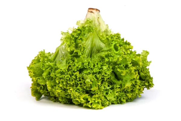 Frischer grüner Salat isoliert auf weißem — Stockfoto