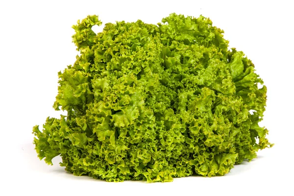 Świeża sałata zielona izolowana na białym — Zdjęcie stockowe