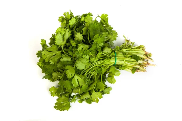 Parsley tied in a bunch with twine isolated — Stock Photo, Image