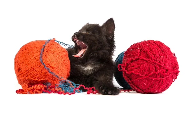 Black kitten playing with a red ball of yarn on white background — Stock Photo, Image