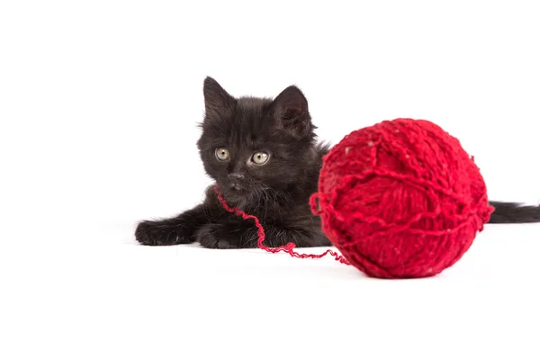 Czarny kociak gra z czerwoną piłkę przędzy na białym tle — Zdjęcie stockowe