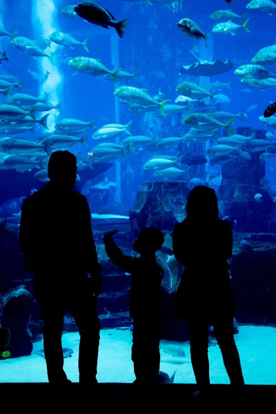 Huge aquarium in a hotel Atlantis in Dubai on the Palm islands — Stock Photo, Image