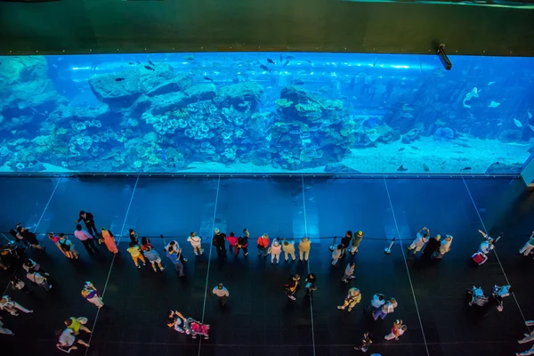 A Dubai Mall-ban világ legnagyobb akváriuma — Stock Fotó