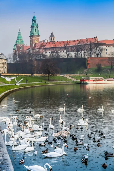 Castelo de Wawel e Wistula. Cracóvia Polónia . — Fotografia de Stock