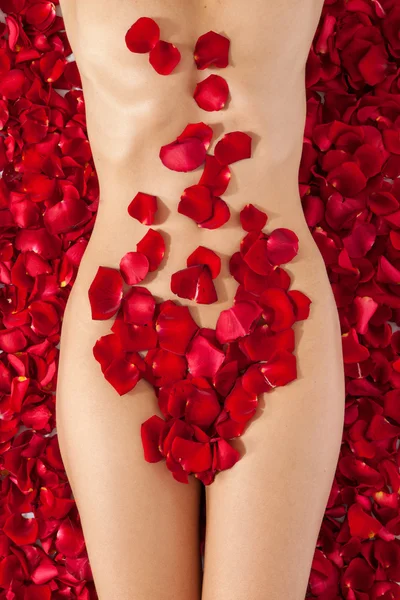 Part of the naked beautiful suntanned female body in petals of s Royalty Free Stock Photos