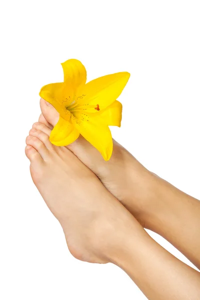 Pernas de mulher bonita com flor, isolado em branco — Fotografia de Stock