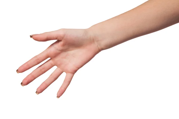 Mão gesto de Feminino isolado em branco — Fotografia de Stock