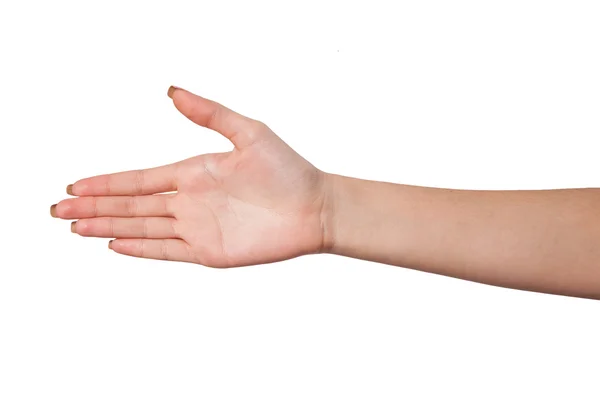 Mão uma pessoa feminina que está disposta a fazer um acordo isolado em — Fotografia de Stock