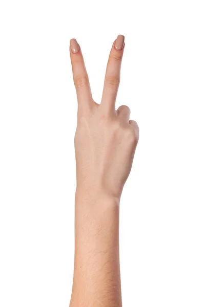 Hand gesture number four closeup isolated on white — Stock Photo, Image