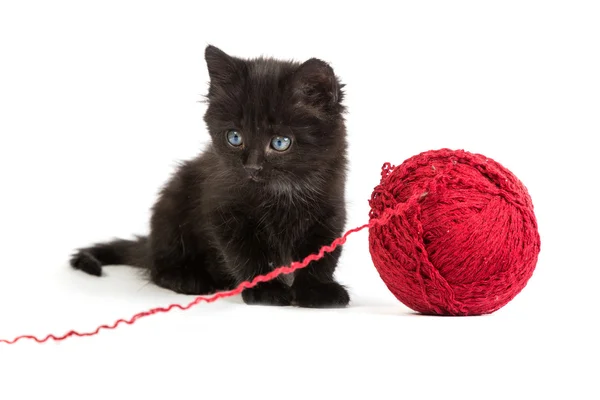 Gatito negro jugando con una bola roja de hilo sobre fondo blanco — Foto de Stock