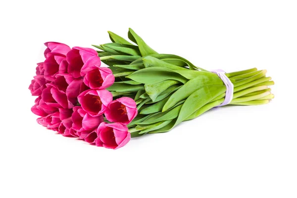 Bunch of tulips on a white — Stock Photo, Image