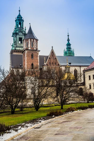 Polen, wawel-kathedraal complex in Krakau — Stockfoto