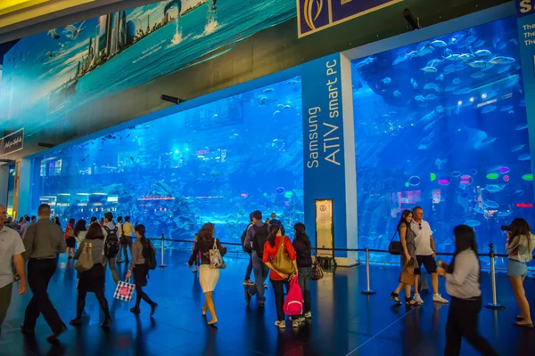 Grootste aquarium van de wereld in dubai mall — Stockfoto