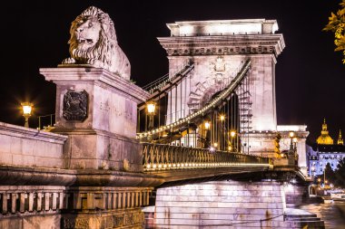 Budapeşte, Macaristan'ünlü zincir köprü gece manzarası. ,