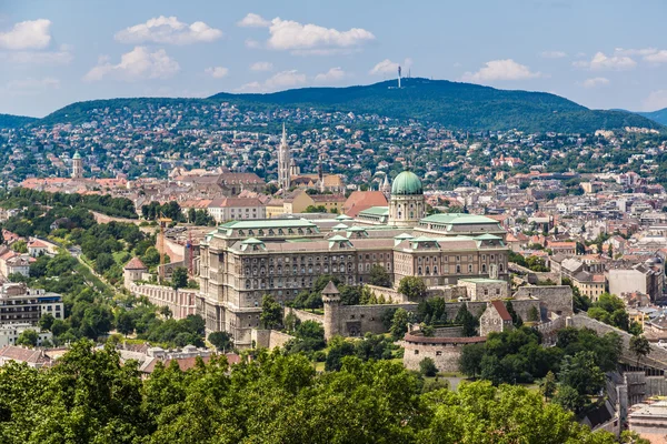 Budapest royal palace morgon Visa. — Stockfoto